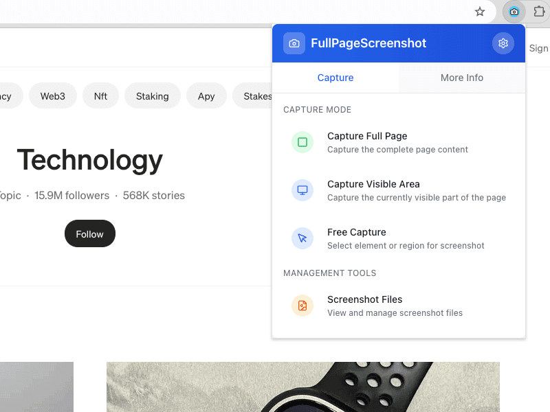 Full Page Screenshot extension interface preview